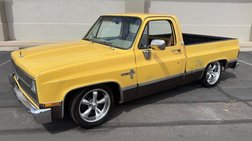 1981 Chevrolet C/K 10 Series C10