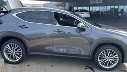 2023 Lexus NX 350h Luxury