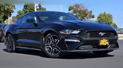 2023 Ford Mustang 