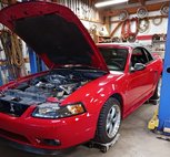1999 Ford Mustang SVT Cobra Base