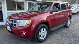 2009 Ford Escape XLT