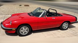 1985 Alfa Romeo Spider Veloce