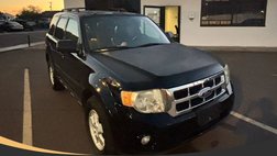 2010 Ford Escape XLT