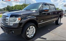 2013 Ford F-150 Platinum