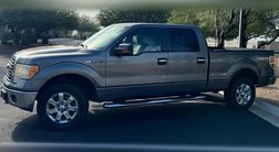 2010 Ford F-150 XLT