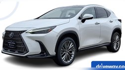2024 Lexus NX 350h Luxury