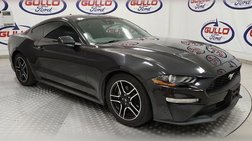 2022 Ford Mustang EcoBoost