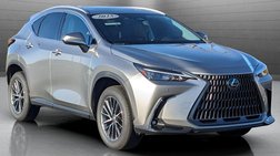 2025 Lexus NX 350 Base