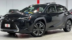 2019 Lexus UX 250h F SPORT