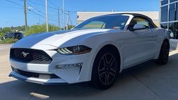 2023 Ford Mustang EcoBoost