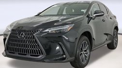 2025 Lexus NX 250 Base