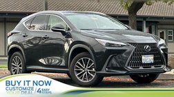 2024 Lexus NX 250 Base