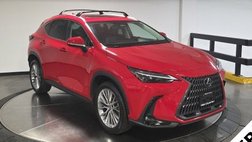 2023 Lexus NX 350 Luxury