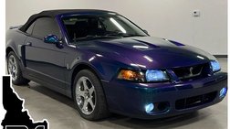 2004 Ford Mustang SVT Cobra Base