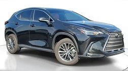 2025 Lexus NX 250 Premium