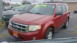2010 Ford Escape XLT