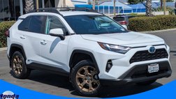 2023 Toyota RAV4 Hybrid Woodland Edition