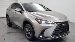 2025 Lexus NX 250 Premium