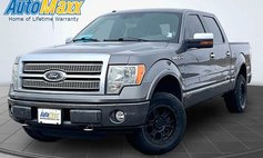 2010 Ford F-150 Platinum
