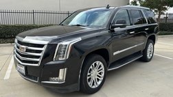 2017 Cadillac Escalade Standard