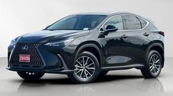 2025 Lexus NX 350h Premium