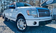 2010 Ford F-150 Platinum