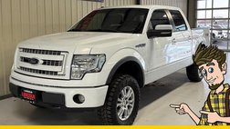 2013 Ford F-150 FX4