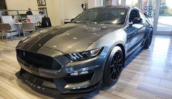 2019 Ford Mustang Shelby GT350