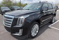 2019 Cadillac Escalade Platinum
