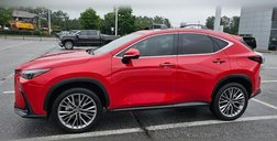 2025 Lexus NX 350h Premium