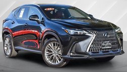 2025 Lexus NX 350 Premium
