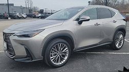 2025 Lexus NX 350h Luxury