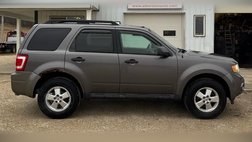 2011 Ford Escape XLT