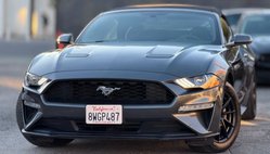 2019 Ford Mustang Base