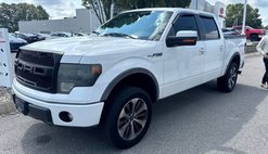 2013 Ford F-150 FX4