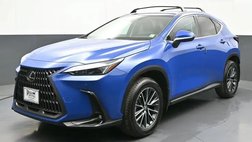 2025 Lexus NX 350 Base