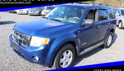 2008 Ford Escape XLT