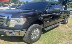 2014 Ford F-150 Platinum