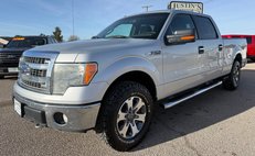 2013 Ford F-150 XL