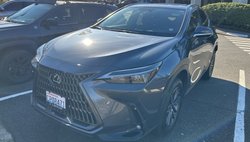 2025 Lexus NX 350h Base