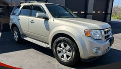 2010 Ford Escape Limited