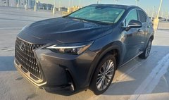 2023 Lexus NX 350h Premium