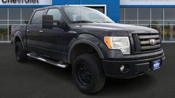 2010 Ford F-150 Platinum