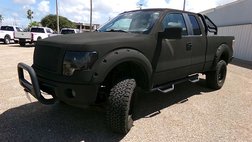2010 Ford F-150 XL