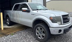 2013 Ford F-150 FX4