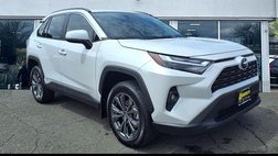 2025 Toyota RAV4 Hybrid XLE Premium