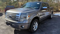 2013 Ford F-150 Platinum