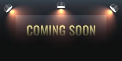 2022 Lexus RX 350L Base