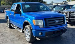 2010 Ford F-150 FX4