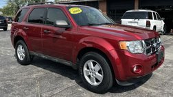 2009 Ford Escape XLT